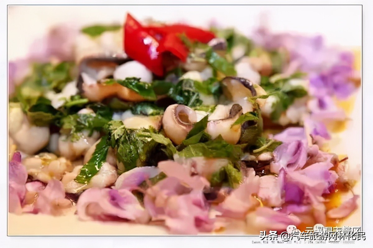 第五届紫藤节‖十里紫藤，石里汉风，邀您食里画意