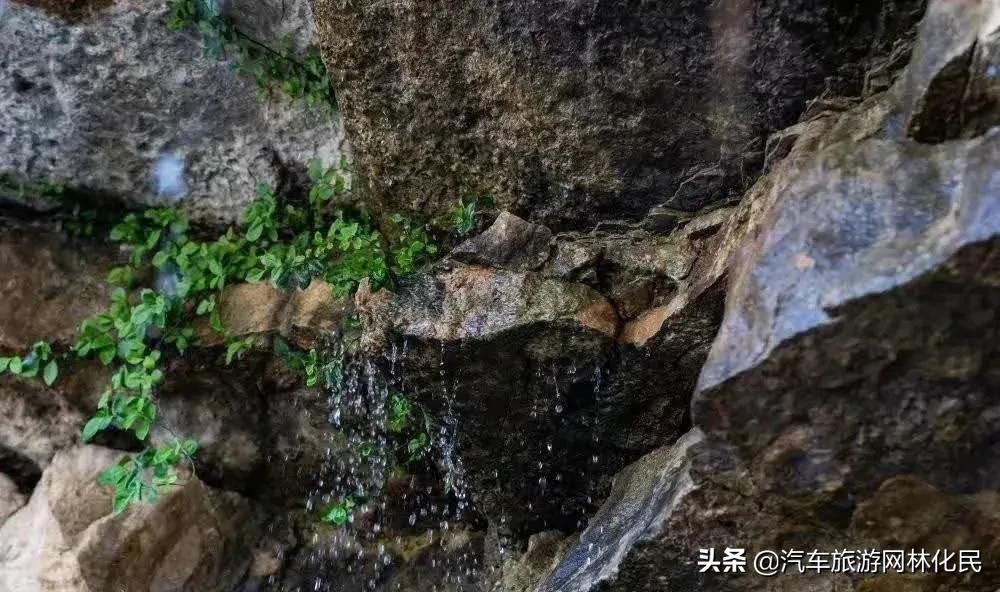 关注汽车旅游网公众号，免费游利山涧