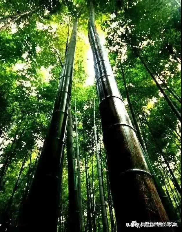 去日照旅游必选到竹洞天景区一游