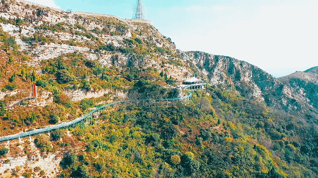 绿水青山带笑颜鲁商 • 红叶柿岩纯玩一日游