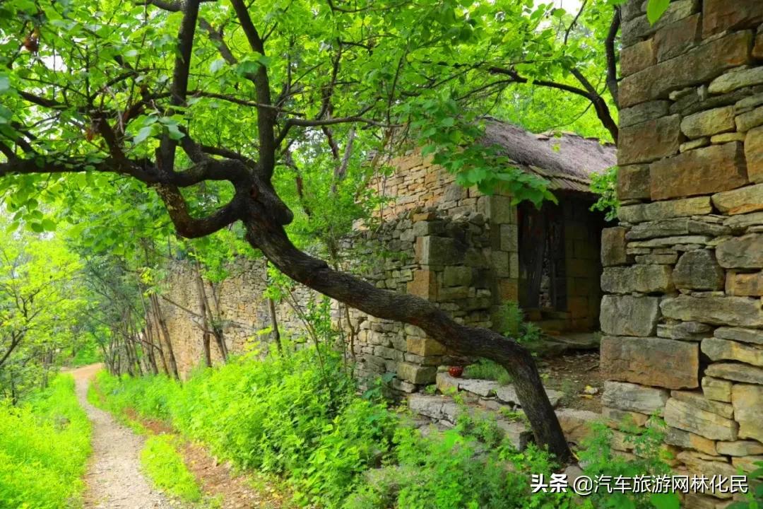 关注汽车旅游网公众号，免费游利山涧