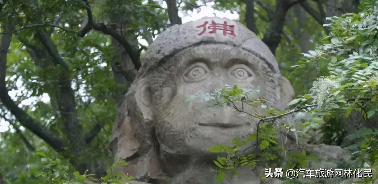 连云港花果山傲来仙境一日游