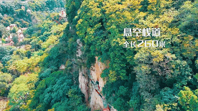 绿水青山带笑颜鲁商 • 红叶柿岩纯玩一日游