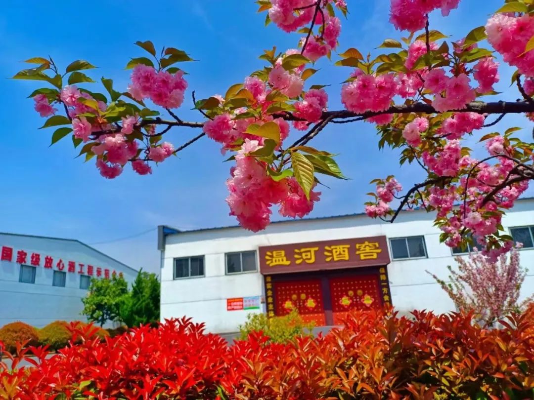 微信图片_20220425095001.jpg 微信图片_20220425095001.jpg